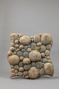 Piero Gilardi - Pav Piuma