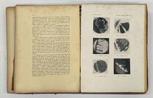 Atti della Societ italiana per il Progresso delle Scienze...  - Asta Libri, manoscritti e riviste [ASTA A TEMPO] - Associazione Nazionale - Case d'Asta italiane