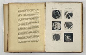 Atti della Societ italiana per il Progresso delle Scienze...  - Asta Libri, manoscritti e riviste [ASTA A TEMPO] - Associazione Nazionale - Case d'Asta italiane