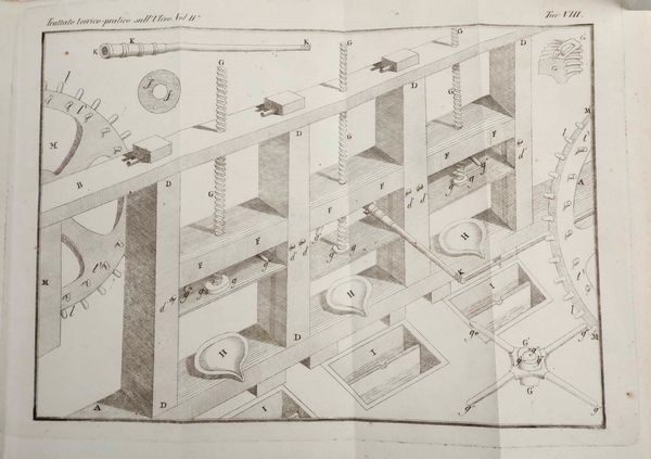 Giuseppe Tavanti : Trattato teorico - pratico completo sull�ulivo...Firenze, Piatti, 1819. Tomi I e II  - Asta Libri Antichi e Rari. Incisioni - Associazione Nazionale - Case d'Asta italiane