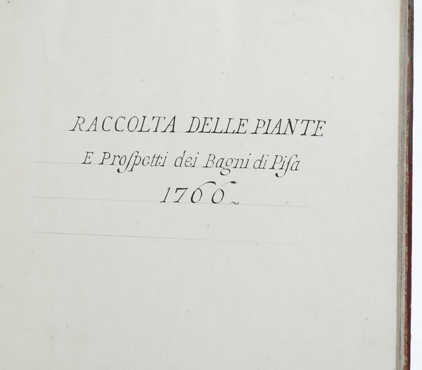 Mathias Tarocchi : Raccolta delle piante e prospetti dei Bagni di Pisa, 1766  - Asta Libri Antichi e Rari. Incisioni - Associazione Nazionale - Case d'Asta italiane