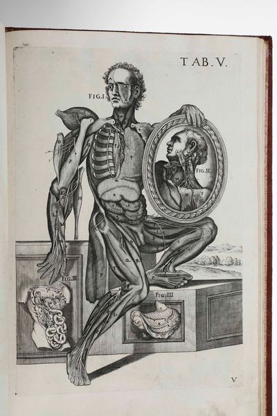 Gaetano Petrioli - Petro Berrettino Cortonensi : Tabulae Anatomicae a celeberrimo pictore Petro Berrettino Cortonensi delineatae, & egregi� aeri incifae nunc primum produent, et a Cajetano Petrioli Romano...Romae, Ex Typographia Antonii de Rubeis, 1741.  - Asta Libri Antichi e Rari. Incisioni - Associazione Nazionale - Case d'Asta italiane