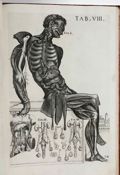 Gaetano Petrioli - Petro Berrettino Cortonensi : Tabulae Anatomicae a celeberrimo pictore Petro Berrettino Cortonensi delineatae, & egregi� aeri incifae nunc primum produent, et a Cajetano Petrioli Romano...Romae, Ex Typographia Antonii de Rubeis, 1741.  - Asta Libri Antichi e Rari. Incisioni - Associazione Nazionale - Case d'Asta italiane