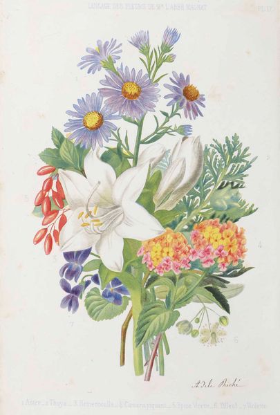 Casimir Magnat : Trait� du langage symbolique, emblematique et religieux des fleurs, Paris, A. Touzet (1855)  - Asta Libri Antichi e Rari. Incisioni - Associazione Nazionale - Case d'Asta italiane