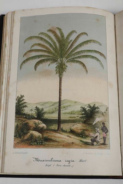 Casimir Magnat : Trait� du langage symbolique, emblematique et religieux des fleurs, Paris, A. Touzet (1855)  - Asta Libri Antichi e Rari. Incisioni - Associazione Nazionale - Case d'Asta italiane