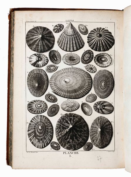 Desallier d'Argenville : D'Argenville Desallier La conchyliologie, ou histoire naturelle des coquilles... Parigi, presso Guillaume de Bure, 1780  - Asta Libri Antichi e Rari. Incisioni - Associazione Nazionale - Case d'Asta italiane