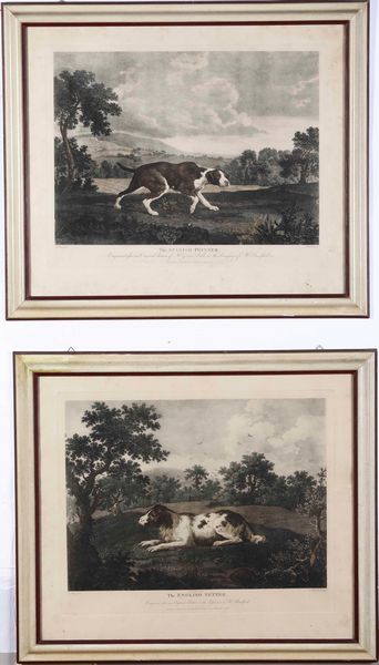 Tre stampe raffiguranti cani da caccia  - Asta Libri Antichi e Rari. Incisioni - Associazione Nazionale - Case d'Asta italiane