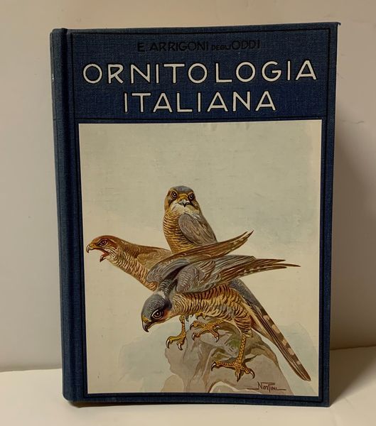 ETTORE ARRIGONI DEGLI ODDI : Ornitologia italiana, Hoepli, Milano, 1929  - Asta Libri Antichi e Rari. Incisioni - Associazione Nazionale - Case d'Asta italiane