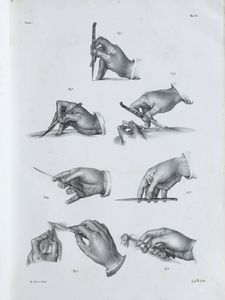 Bourgery, Jean Baptiste Marc Raccolta di tavole  litografiche in nero, tratte dal trattato di anatomia chirurgica operativa.Firenze, Met secolo XIX.  - Asta Libri Antichi e Rari. Incisioni - Associazione Nazionale - Case d'Asta italiane
