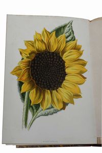 Autori vari - Botanica e floricultura : Raccolta di tre opere, due in lingua inglese e una in lingua francese, dedicate alla floricultura e alla cura dei giardini.  - Asta Libri Antichi e Rari. Incisioni - Associazione Nazionale - Case d'Asta italiane