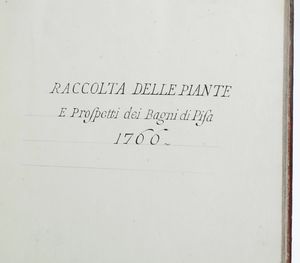 Mathias Tarocchi - Raccolta delle piante e prospetti dei Bagni di Pisa, 1766