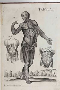Gaetano Petrioli - Petro Berrettino Cortonensi : Tabulae Anatomicae a celeberrimo pictore Petro Berrettino Cortonensi delineatae, & egregi� aeri incifae nunc primum produent, et a Cajetano Petrioli Romano...Romae, Ex Typographia Antonii de Rubeis, 1741.  - Asta Libri Antichi e Rari. Incisioni - Associazione Nazionale - Case d'Asta italiane