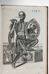 Gaetano Petrioli - Petro Berrettino Cortonensi : Tabulae Anatomicae a celeberrimo pictore Petro Berrettino Cortonensi delineatae, & egregi� aeri incifae nunc primum produent, et a Cajetano Petrioli Romano...Romae, Ex Typographia Antonii de Rubeis, 1741.  - Asta Libri Antichi e Rari. Incisioni - Associazione Nazionale - Case d'Asta italiane