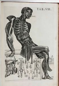 Gaetano Petrioli - Petro Berrettino Cortonensi : Tabulae Anatomicae a celeberrimo pictore Petro Berrettino Cortonensi delineatae, & egregi� aeri incifae nunc primum produent, et a Cajetano Petrioli Romano...Romae, Ex Typographia Antonii de Rubeis, 1741.  - Asta Libri Antichi e Rari. Incisioni - Associazione Nazionale - Case d'Asta italiane