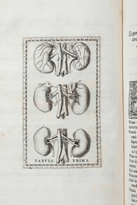 Bartolomeo Eustacchio Tabul anatomic clarissimi viri... Ex Officina Typographyca Francisci Gonzag in Via Iata, Roma, 1714  - Asta Libri Antichi e Rari. Incisioni - Associazione Nazionale - Case d'Asta italiane