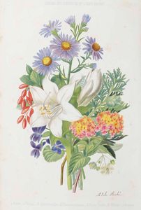 Casimir Magnat : Trait� du langage symbolique, emblematique et religieux des fleurs, Paris, A. Touzet (1855)  - Asta Libri Antichi e Rari. Incisioni - Associazione Nazionale - Case d'Asta italiane