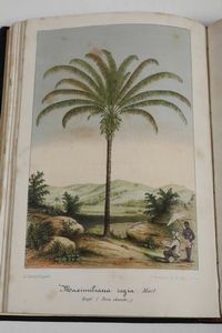 Casimir Magnat : Trait� du langage symbolique, emblematique et religieux des fleurs, Paris, A. Touzet (1855)  - Asta Libri Antichi e Rari. Incisioni - Associazione Nazionale - Case d'Asta italiane