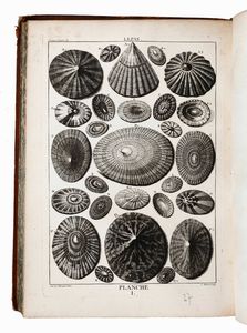 Desallier d'Argenville : D'Argenville Desallier La conchyliologie, ou histoire naturelle des coquilles... Parigi, presso Guillaume de Bure, 1780  - Asta Libri Antichi e Rari. Incisioni - Associazione Nazionale - Case d'Asta italiane