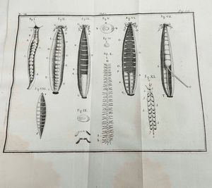 Classici - Autori Vari : De Bononiesi Scientiarum et Artium instituto atque academia commentari, Ex Typographia Instituti Scientiarium, Bologna, 1791  - Asta Libri Antichi e Rari. Incisioni - Associazione Nazionale - Case d'Asta italiane