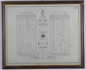 10 carte geografiche e cabrei Mollvc insul celeberrim, Amsterdam, Guglielmo Blaeu, fine secolo XVI  - Asta Libri Antichi e Rari. Incisioni - Associazione Nazionale - Case d'Asta italiane
