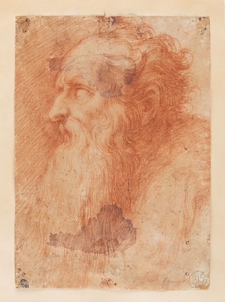 Scuola dell'Italia settentrionale, fine secolo XVI - inizi secolo XVII : Profilo di testa virile  - Asta Dipinti e disegni antichi - Associazione Nazionale - Case d'Asta italiane