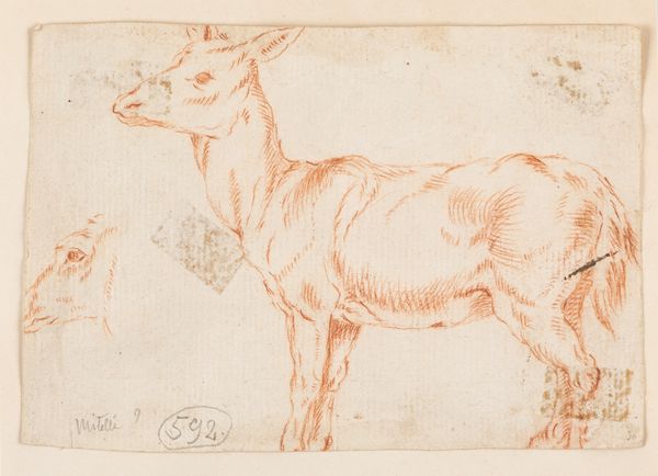 Lotto composto da sette disegni, secoli XVII - XVIII  - Asta Dipinti e disegni antichi - Associazione Nazionale - Case d'Asta italiane