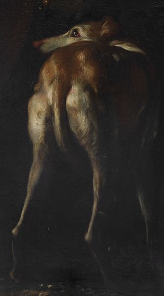 Domenico Parodi : Adone  - Asta Dipinti e disegni antichi - Associazione Nazionale - Case d'Asta italiane