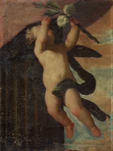Scuola romana, secolo XVII - Cherubino in volo