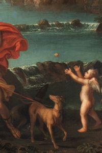 Scuola bolognese, secolo XVII : Venere e Adone  - Asta Dipinti e disegni antichi - Associazione Nazionale - Case d'Asta italiane