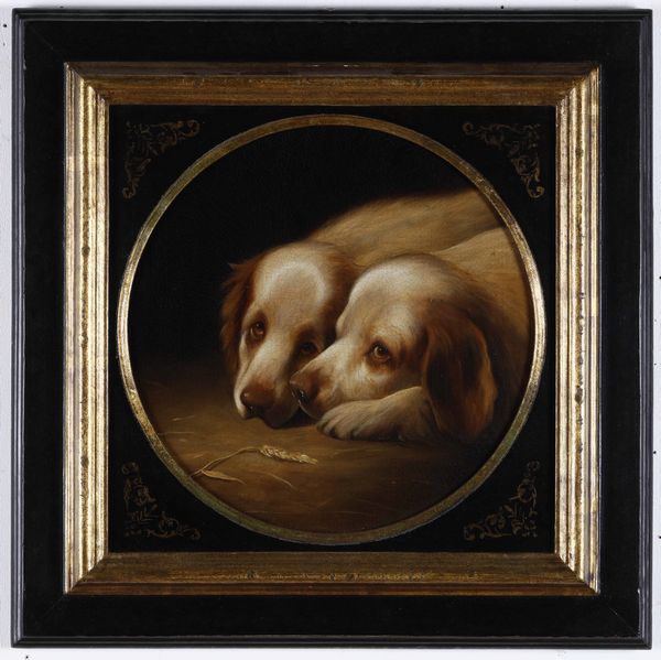 Scuola del XIX secolo Coppia di cani  - Asta Dipinti Antichi  - Associazione Nazionale - Case d'Asta italiane