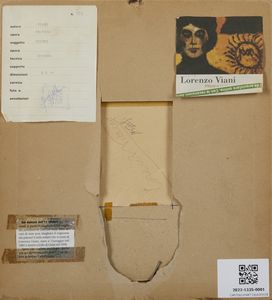 VIANI LORENZO (1882 - 1936) : Figure.  - Asta Asta 384 | ARTE MODERNA E CONTEMPORANEA Online - Associazione Nazionale - Case d'Asta italiane