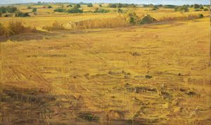 GIOVANNI LA COGNATA Comiso (Ragusa) 1954 - Luce d'agosto