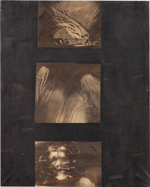 Studio per immagine cinematografica  - Asta Arte Moderna e Contemporanea - Associazione Nazionale - Case d'Asta italiane