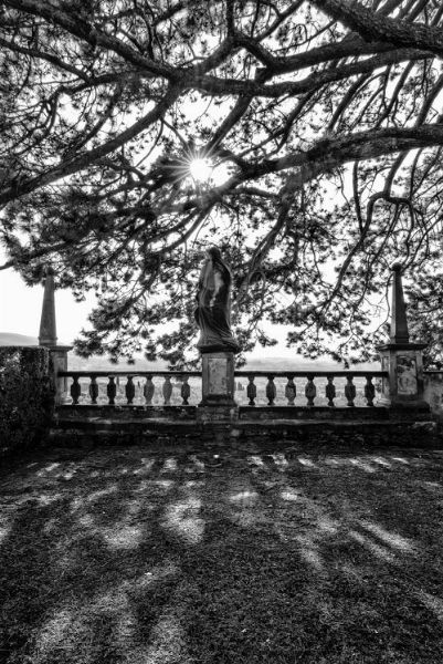 MARCO PAOLI  - Asta Asta a tempo AIRC - Associazione Nazionale - Case d'Asta italiane