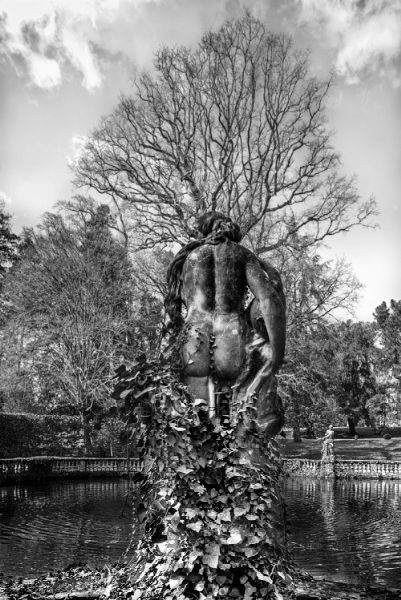 MARCO PAOLI  - Asta Asta a tempo AIRC - Associazione Nazionale - Case d'Asta italiane