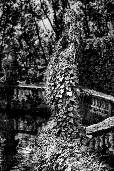 MARCO PAOLI  - Asta Asta a tempo AIRC - Associazione Nazionale - Case d'Asta italiane