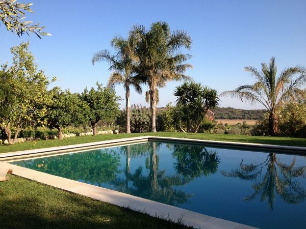 MARCHESI MAZZEI  - Asta Asta a tempo AIRC - Associazione Nazionale - Case d'Asta italiane