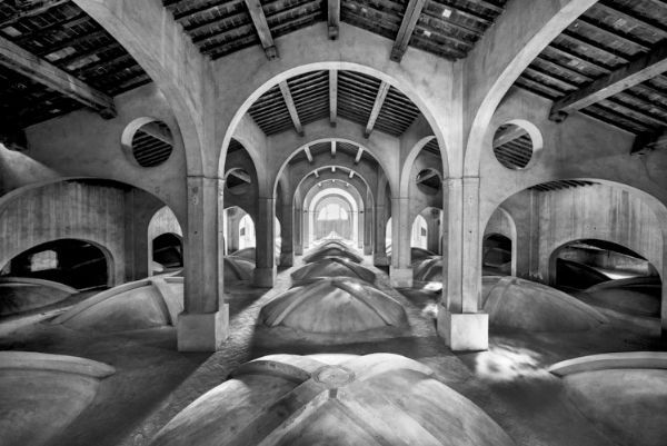 MARCO PAOLI  - Asta Asta a tempo AIRC - Associazione Nazionale - Case d'Asta italiane