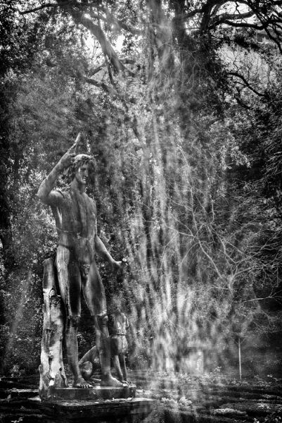 MARCO PAOLI  - Asta Asta a tempo AIRC - Associazione Nazionale - Case d'Asta italiane