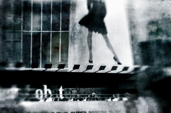 MARCO PAOLI  - Asta Asta a tempo AIRC - Associazione Nazionale - Case d'Asta italiane