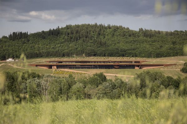 MARCHESI ANTINORI Spa  - Asta Asta a tempo AIRC - Associazione Nazionale - Case d'Asta italiane