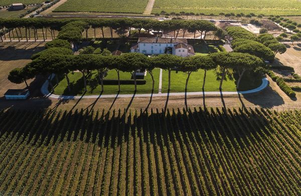 MARCHESI ANTINORI Spa  - Asta Asta a tempo AIRC - Associazione Nazionale - Case d'Asta italiane