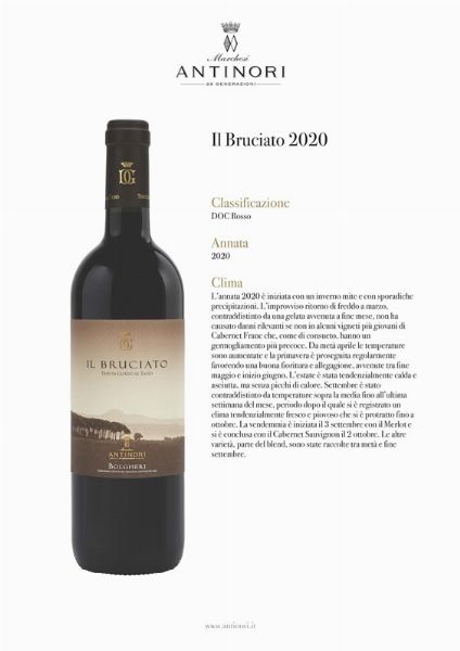 MARCHESI ANTINORI Spa  - Asta Asta a tempo AIRC - Associazione Nazionale - Case d'Asta italiane