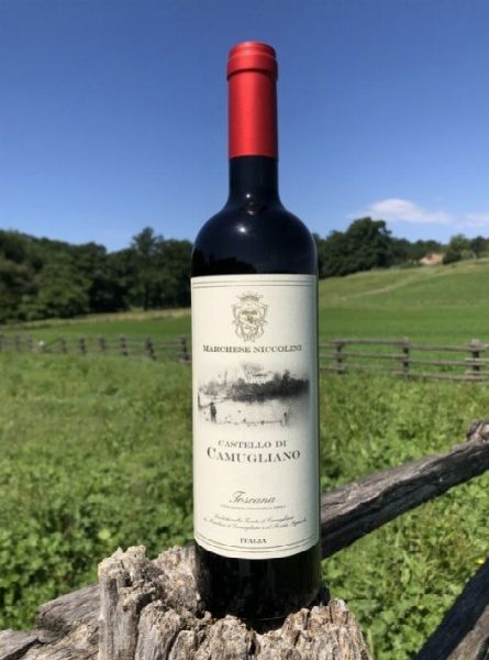 TENUTA DI CAMUGLIANO  - Asta Asta a tempo AIRC - Associazione Nazionale - Case d'Asta italiane