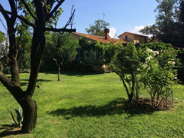 FABRIZIA SCASSELLATI SFORZOLINI  - Asta Asta a tempo AIRC - Associazione Nazionale - Case d'Asta italiane