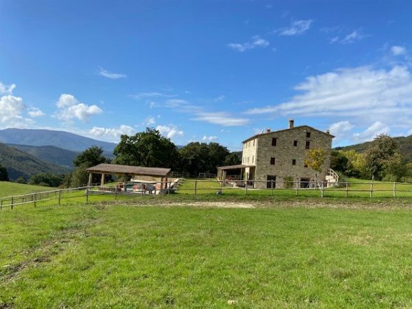 MARIA RICCERI  - Asta Asta a tempo AIRC - Associazione Nazionale - Case d'Asta italiane