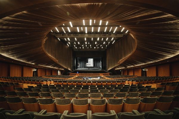 TEATRO DEL MAGGIO MUSICALE FIORENTINO  - Asta Asta a tempo AIRC - Associazione Nazionale - Case d'Asta italiane