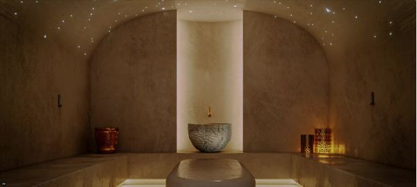 HELVETIA�  - Asta Asta a tempo AIRC - Associazione Nazionale - Case d'Asta italiane