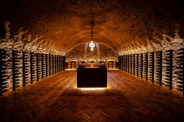 ARGIANO DIMORE  - Asta Asta a tempo AIRC - Associazione Nazionale - Case d'Asta italiane