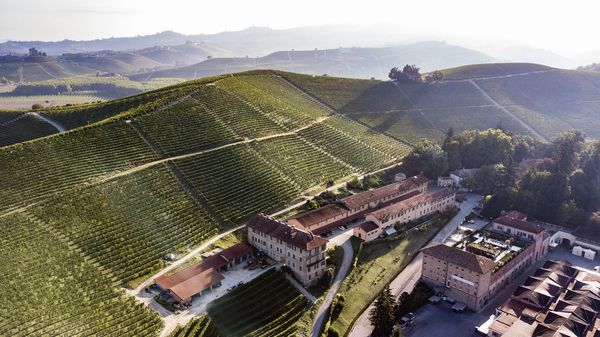 FONTANAFREDDA VILLAGGIO NARRANTE - TENUTA VITIVINICOLA  - Asta Asta a tempo AIRC - Associazione Nazionale - Case d'Asta italiane